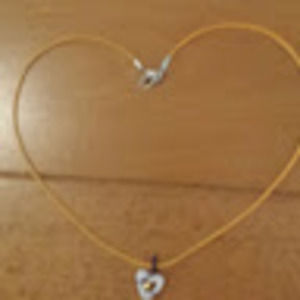 Meet your Posher, Shawndra